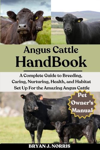 Angus Cattle