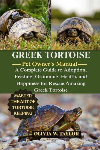 Greek Tortoise