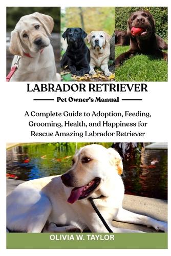 Labrador Retriever