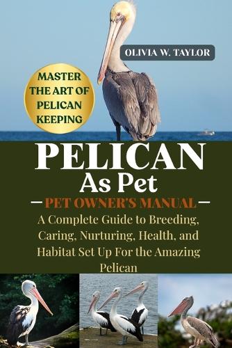 Pelican as Pet