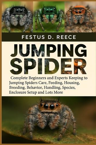 Jumping Spider