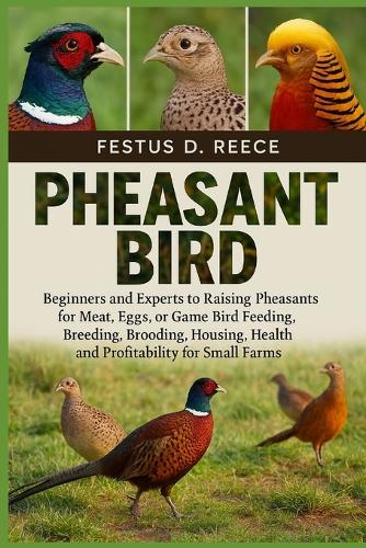 Pheasant Bird