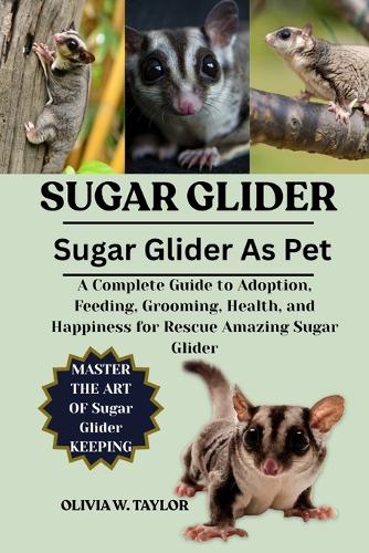 Sugar Glider