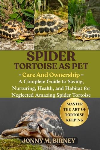 Spider Tortoise
