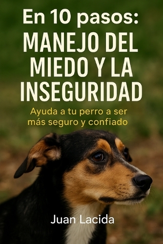 En 10 pasos