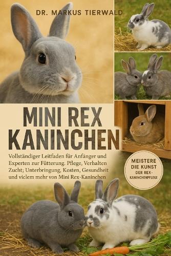 Mini Rex Kaninchen