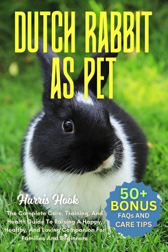 Dutch Rabbit as Pet