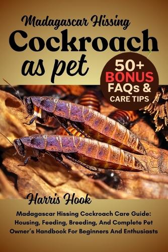 Madagascar Hissing Cockroach As Pet