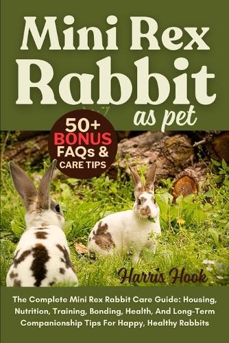 Mini Rex Rabbit as Pet
