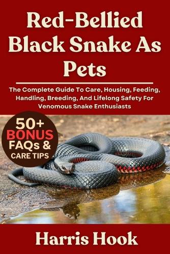Red-Bellied Black Snake as Pets