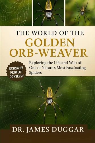 The World of the Golden Orb-Weaver