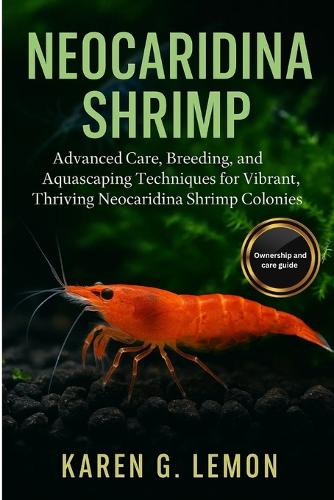 Neocaridina Shrimp