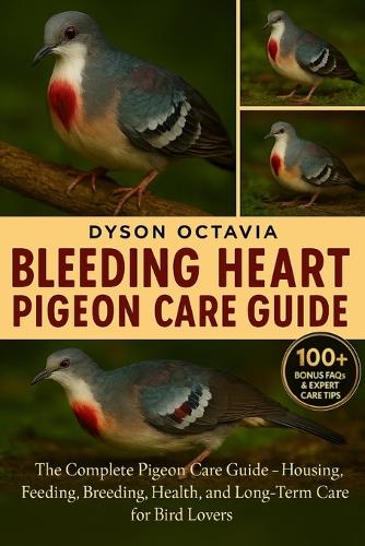 Bleeding Heart Pigeon Care Guide