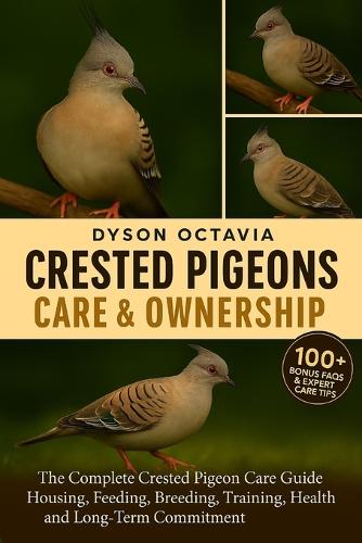 Crested Pigeons Care & Ownership