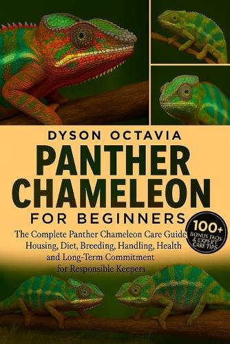 Panther Chameleon for Beginners