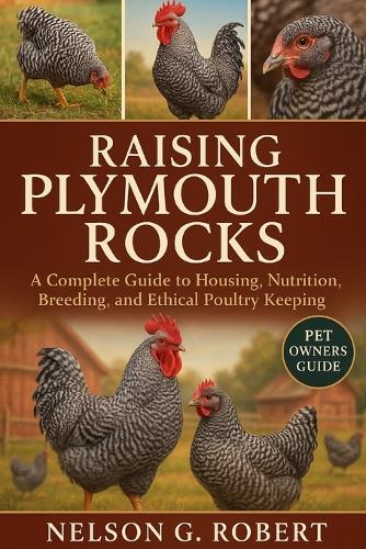 Raising Plymouth Rocks
