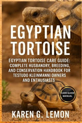 Egyptian Tortoise