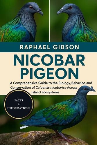 Nicobar Pigeon
