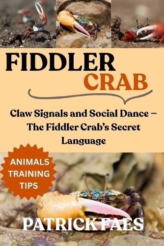 Fiddler Crab