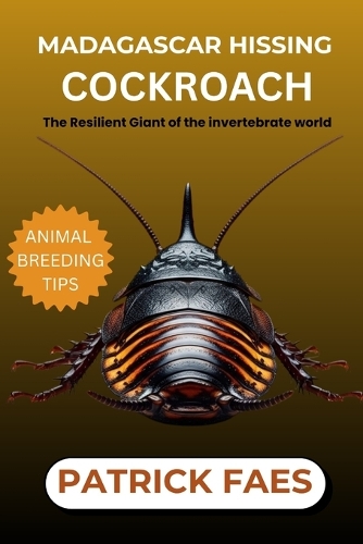 Madagascar Hissing Cockroach