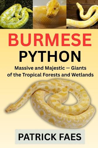 Burmese Python