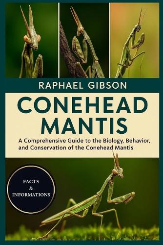 Conehead Mantis