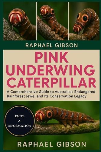 Pink Underwing Caterpillar