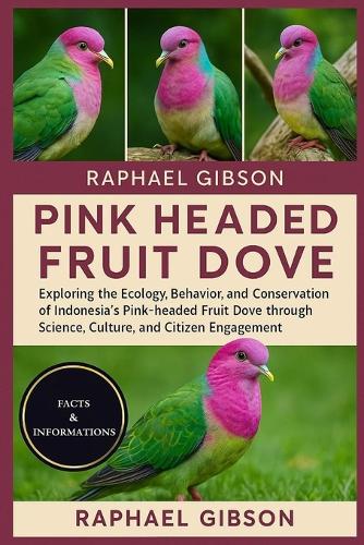 Pink Headed Fruit Dove