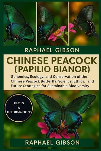 Chinese Peacock (Papilio Bianor)