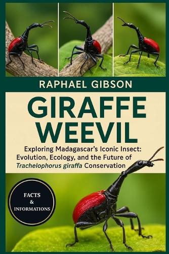 Giraffe Weevil