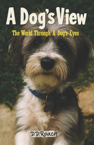 A Dog's View