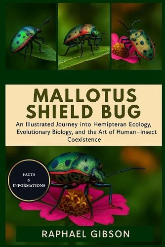 Mallotus Shield Bug