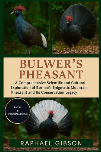 Bulwer's Pheasant