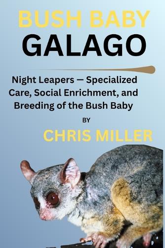Bush Baby Galago