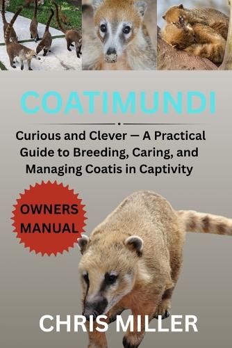 Coatimundi