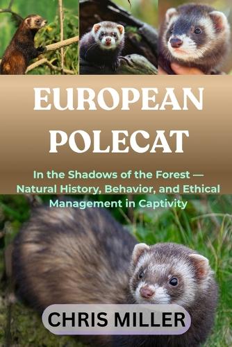 European Polecat