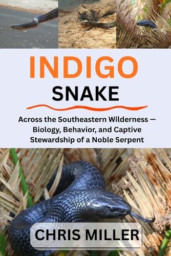 Indigo Snake