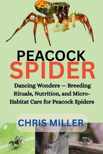 Peacock Spider