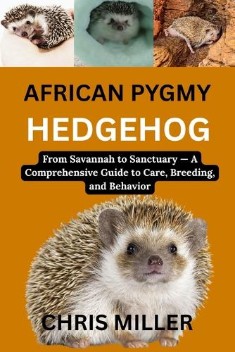 African Pygmy Hedgehog