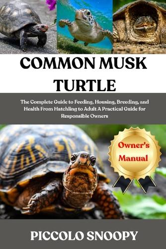 Common Musk Turtle Care