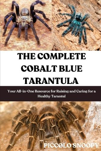The Complete Cobalt Blue Tarantula Care