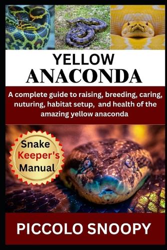 Raising Yellow Anacondas Made Easy