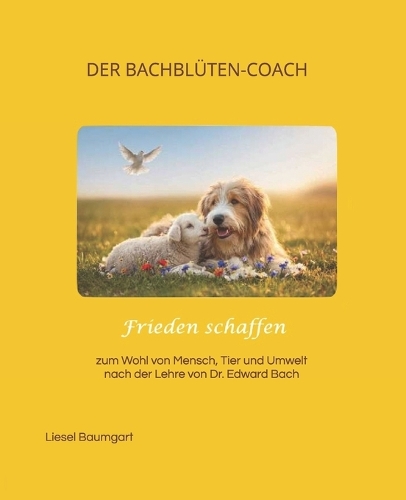 Frieden schaffen