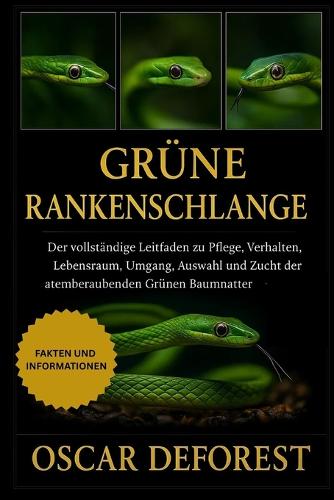 Grüne Rankenschlange