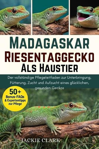 Madagaskar-Riesentaggecko ALS Haustier