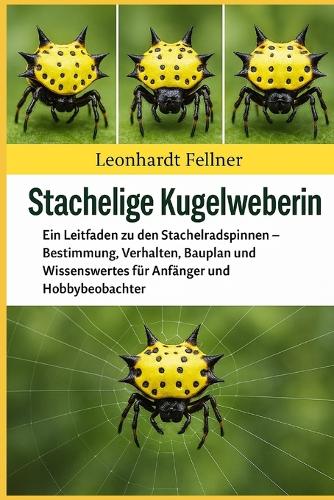 Stachelige Kugelweberin