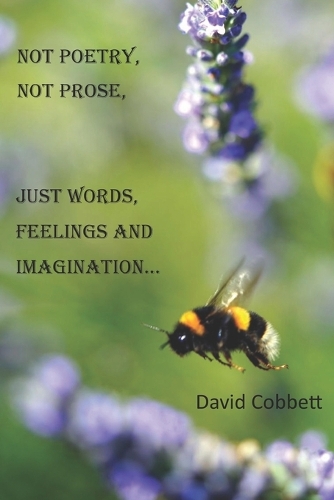 Not Poetry, Not Prose, Just Words, Feelings and Imagination...