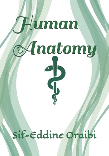 Human Anatomy