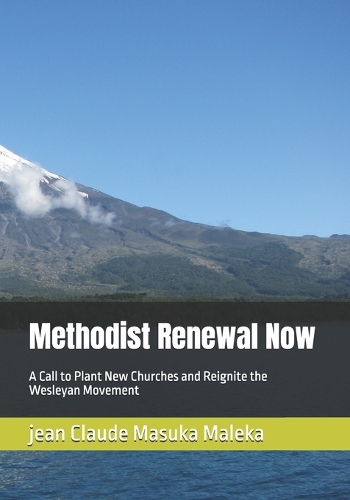 Methodist Renewal Now