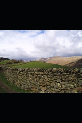 Brackendale
